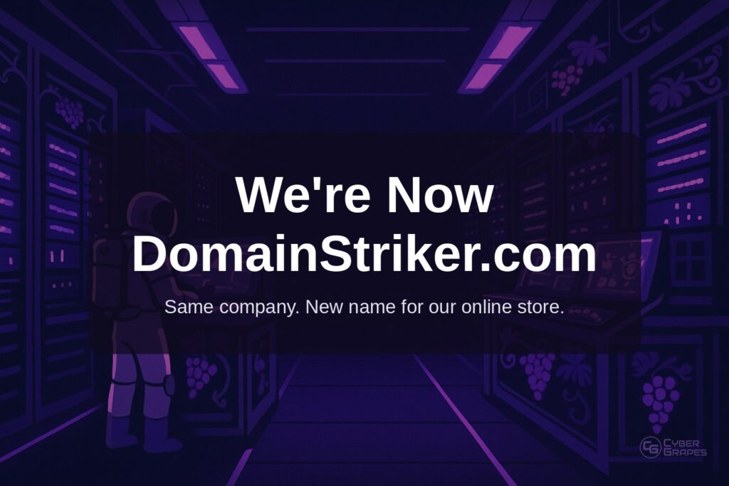 Text card reading We're Now DomainStriker.com, same company, new name for our online store, over a purple illustrated astronaut in a server room