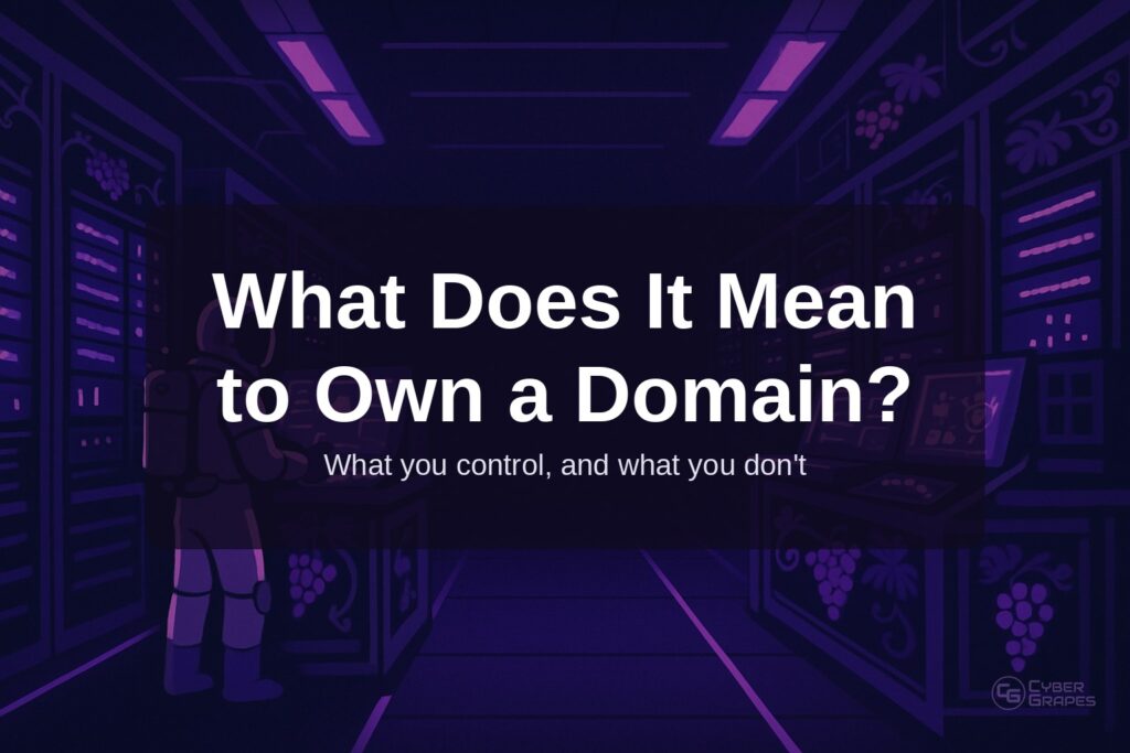 Cyber Grapes astronaut in a purple server room beside the title What Does It Mean to Own a Domain